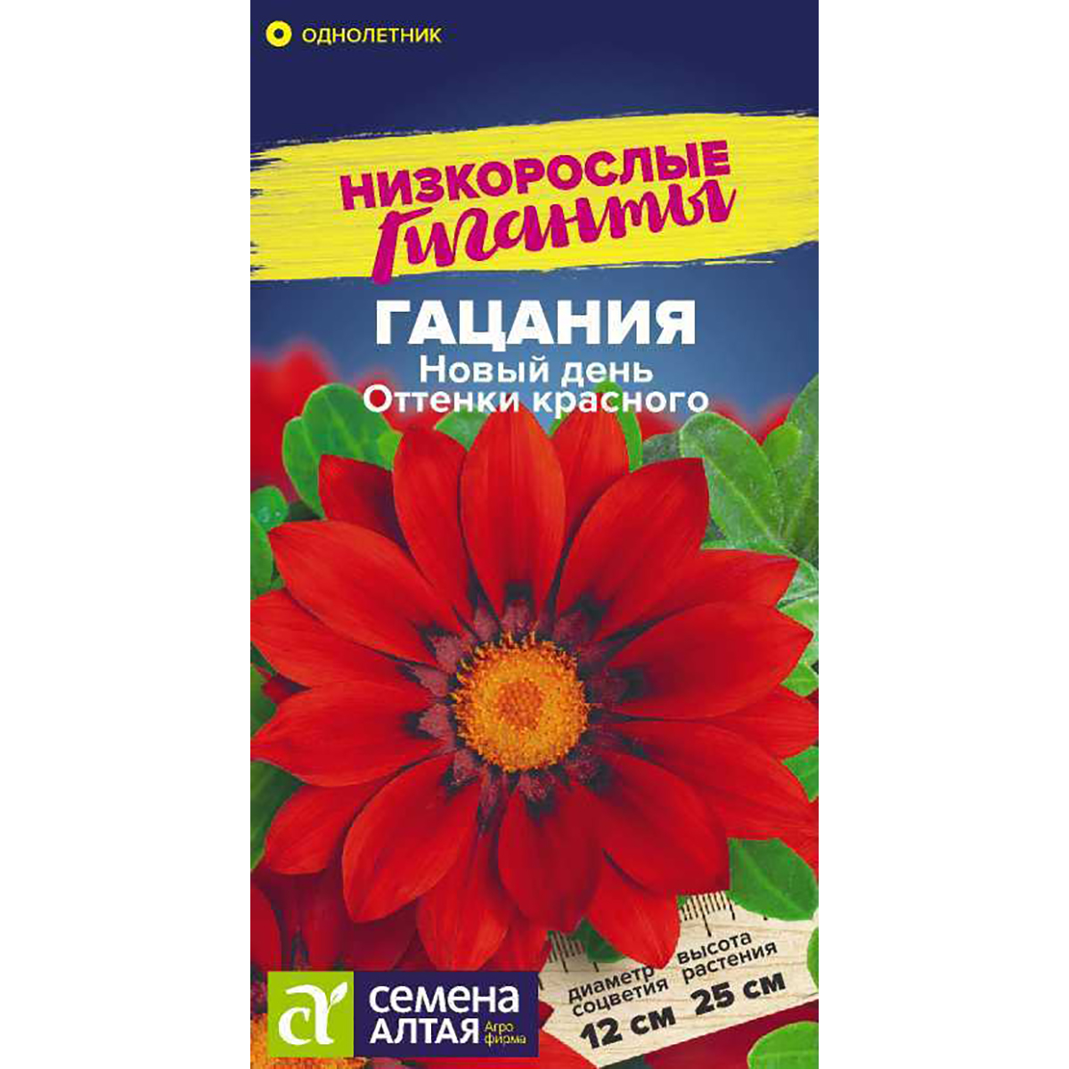 гацания новый день