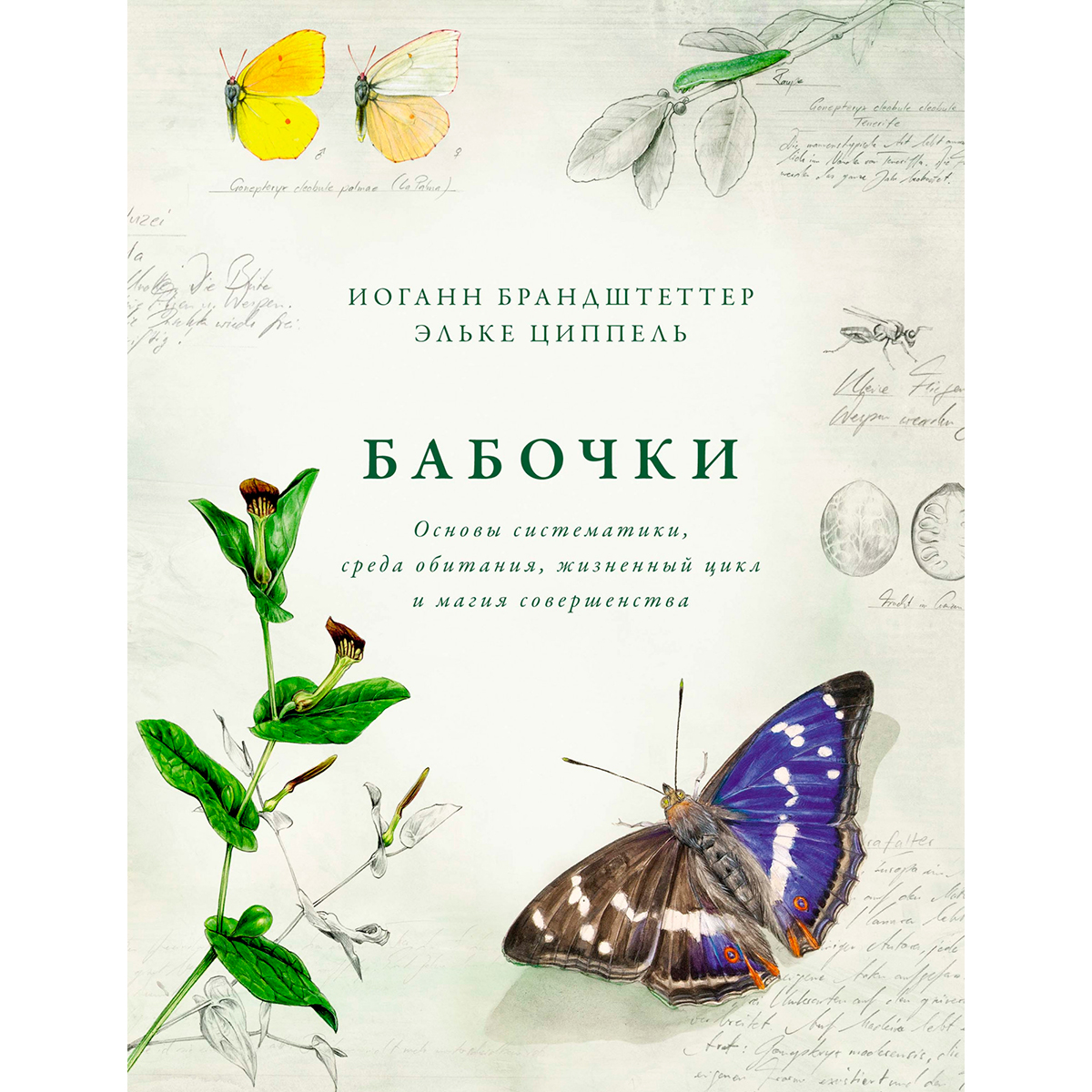 Татьяна брандштеттер